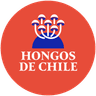 Logo Hongos de Chile